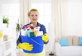 Sparkling Solutions: Expert Commercial Cleaners In Auckland